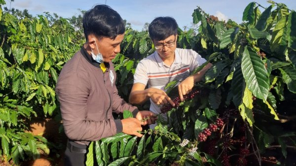 Việt Nam lập kỷ lục xuất khẩu 
